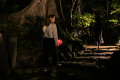 紙提灯 ～秋の夜長の小石川後楽園 2025 #3～