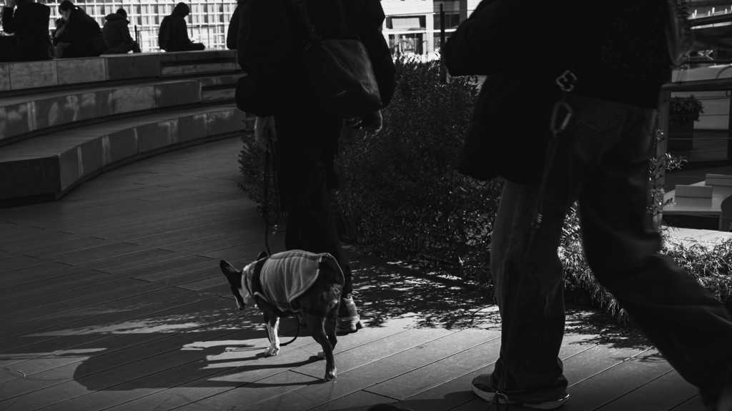 Street～scene#21～