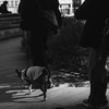 Street～scene#21～