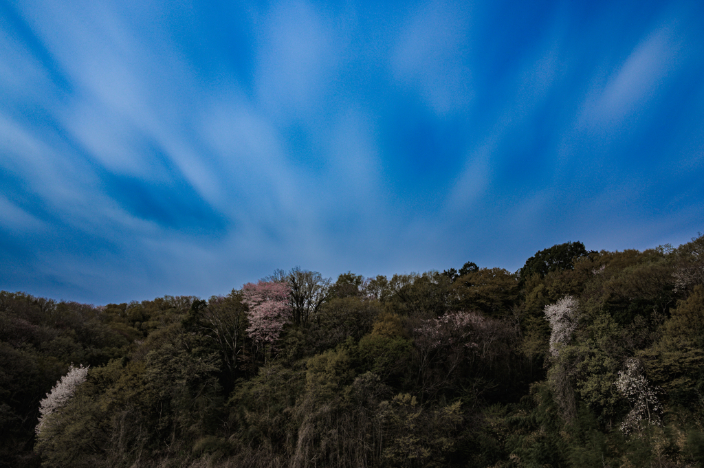 東京点描～里山の春～