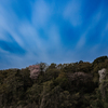 東京点描～里山の春～