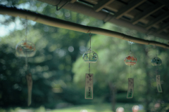 絶滅危惧美Ⅲ