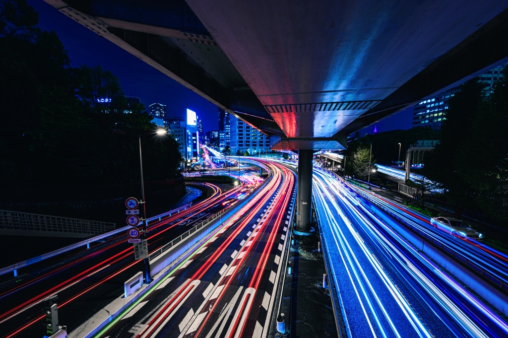 Light Trail ～akasakamitsuke～