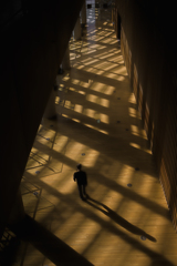 Street scene#72