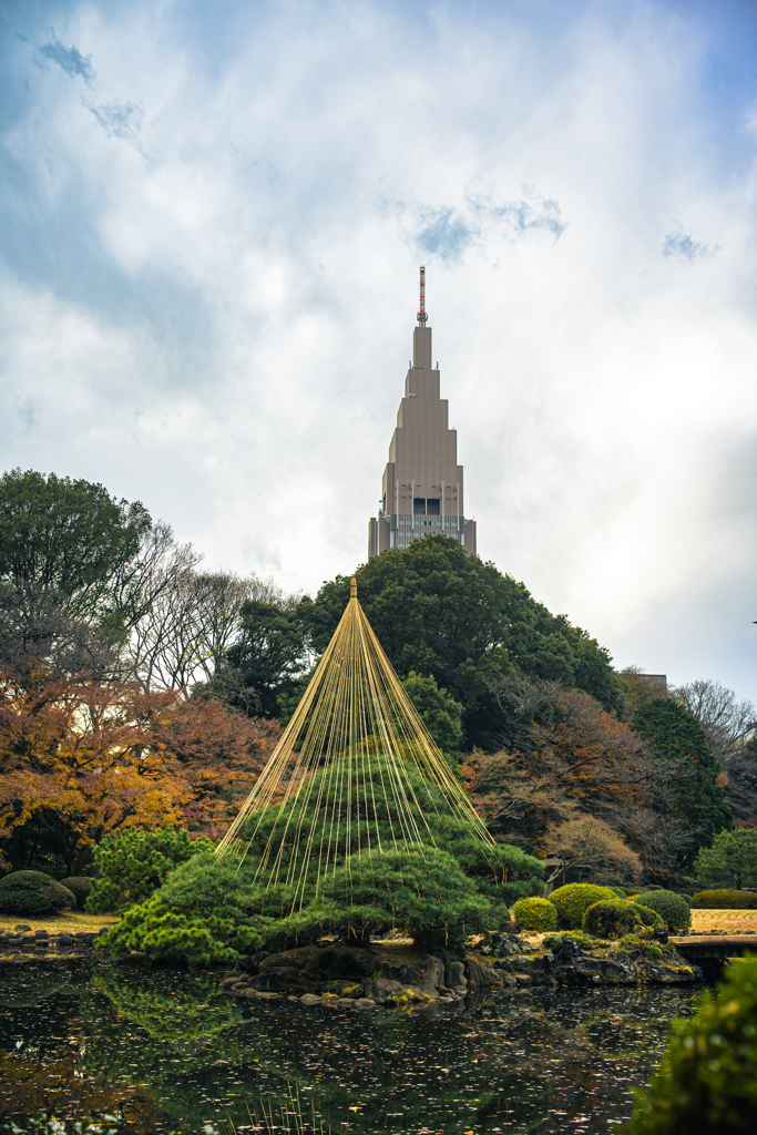 Park Scene #1