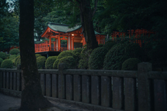 東京巡り #2 ～根津神社乙女稲荷～