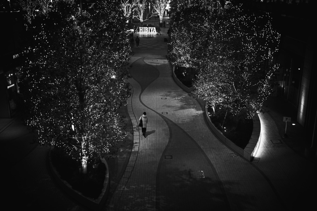 Street scene#29