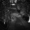 Street scene#29