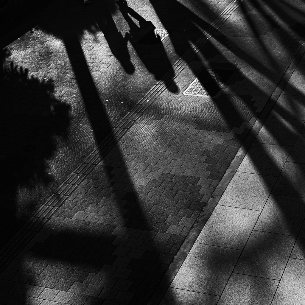 Street Scene #10