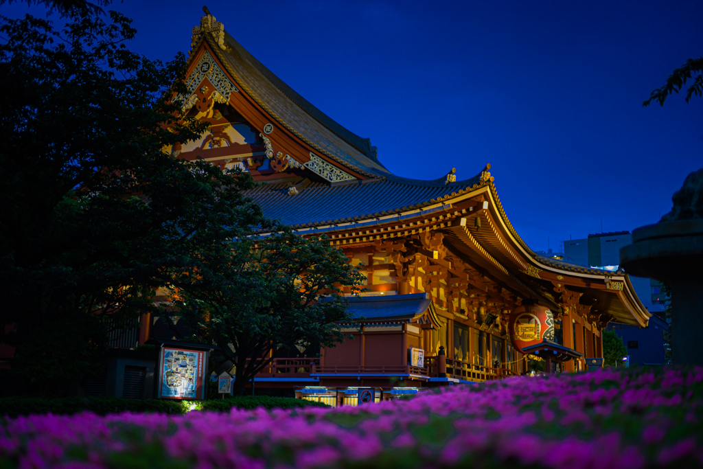 浅草寺 観音堂