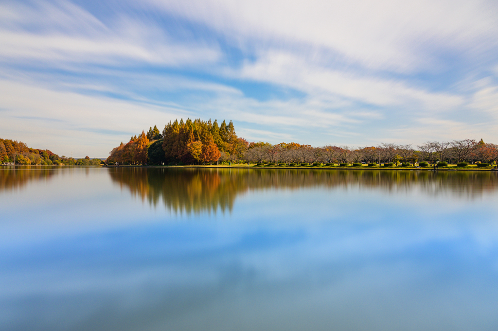 東京巡り #8 ～小合溜～