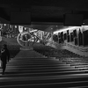 Street Scene #11