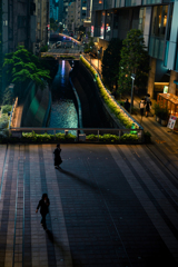 Street scene#63