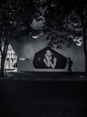 Street scene#135