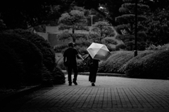 Street scene#98