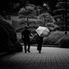Street scene#98