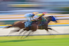 Warp～競馬2026#2～