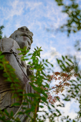高幡不動尊大観音像 ～カメラと散歩～