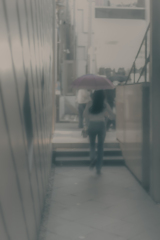 Street scene#73