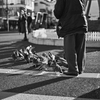 やさしい昼下がり