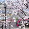 春の一瞬