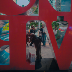 Street scene#79