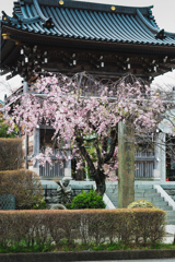 お写ん歩〜神社仏閣・山門〜