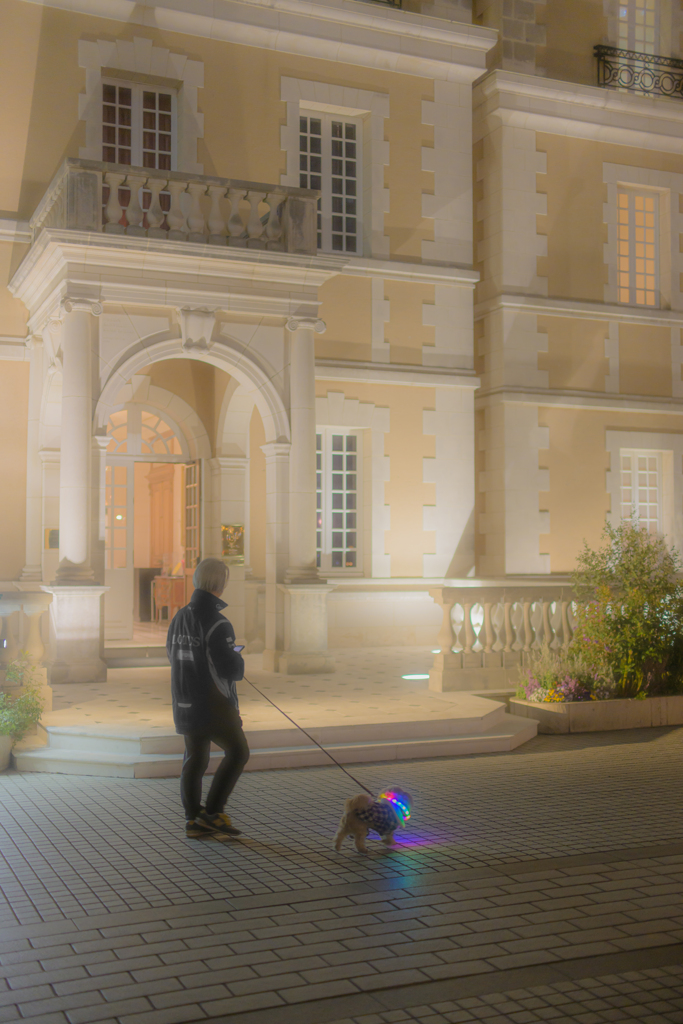 Street scene#44