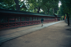 Street scene#100