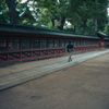 Street scene#100
