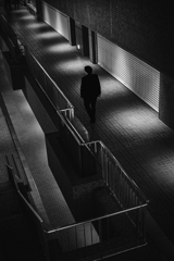 Street Scene #5