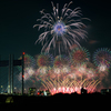 東京競馬場花火2025 Ⅳ