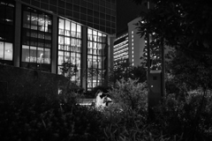 Street scene#147