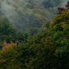 里山点描・秋