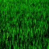GREEEEEEEEEEEEEEEEEEEEEEEEEEEEEEEEEEEEEE