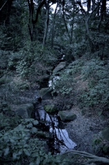 明治神宮