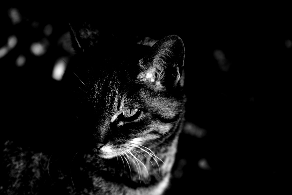 DSC_9145