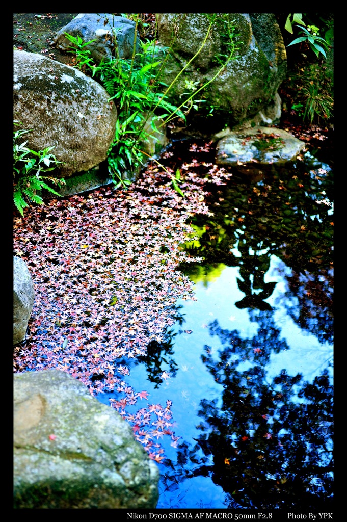 DSC_5575ll