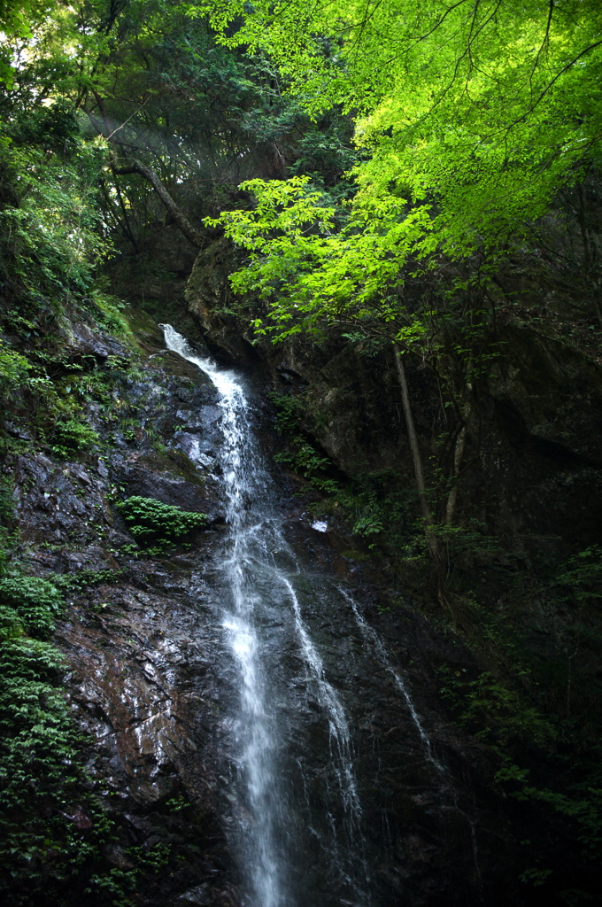 払沢の滝