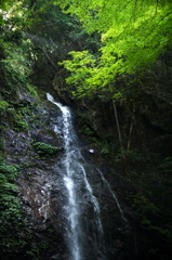 払沢の滝