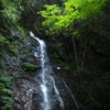 払沢の滝