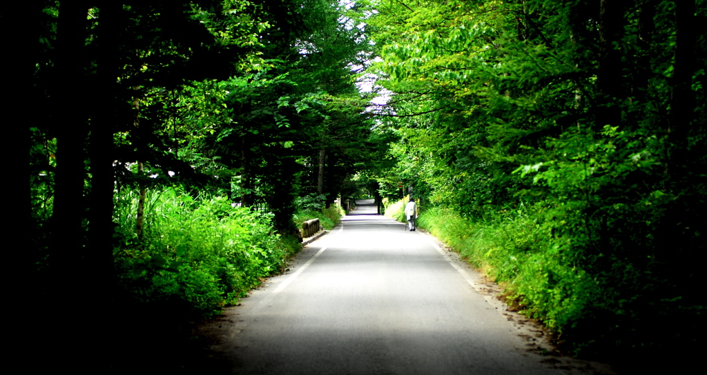 散歩道