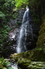 払沢の滝