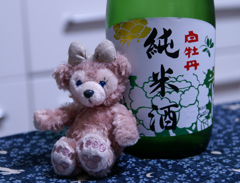 白牡丹　純米酒