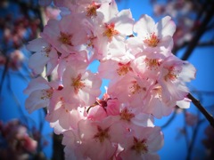 20120401b