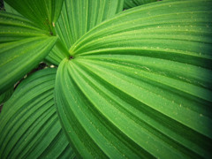 20120630b