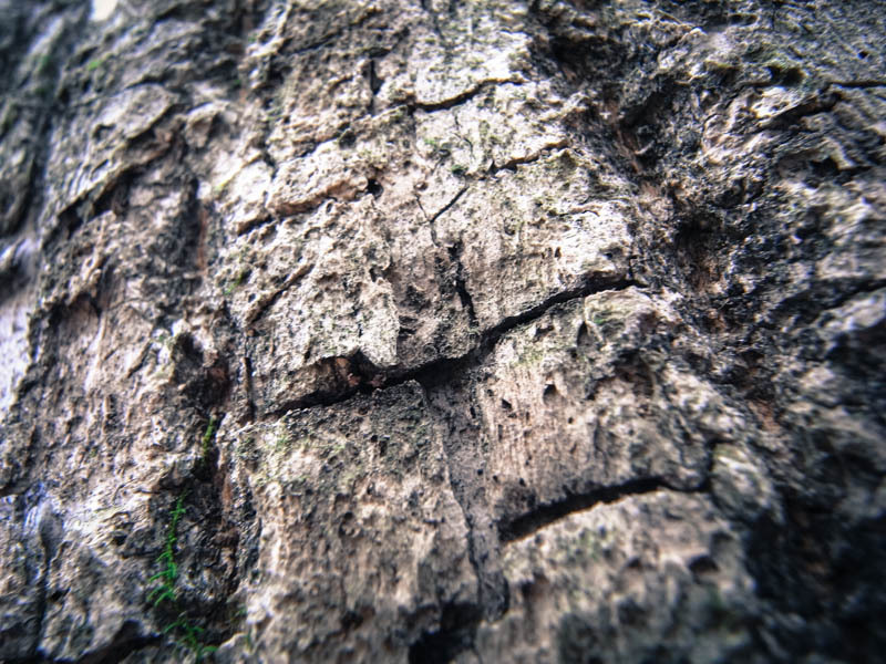 20130103d