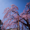 R0011403