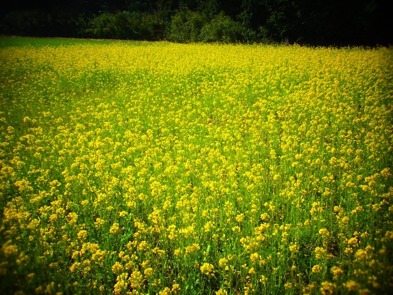 20120408a