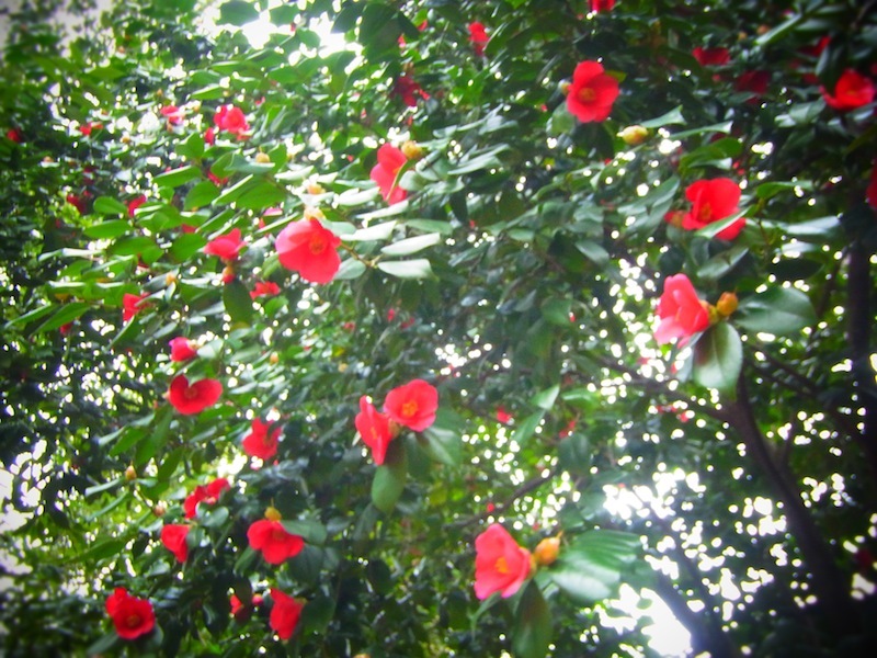 20120407b